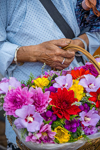 在湖南省风港古城街上卖花的老妇女图片