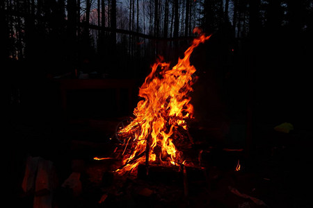 大火夜间火自然火大量火图片