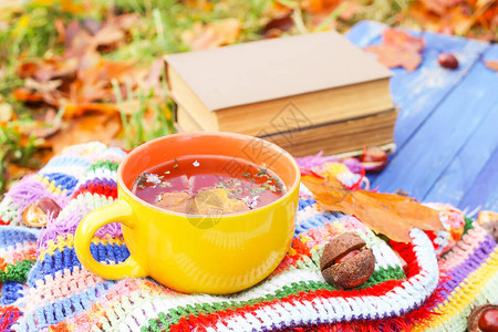 秋季花园中格子明亮温暖条纹格子上的陶瓷黄杯凉茶和秋叶组成蓝色木板上的图片