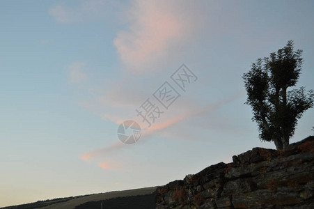 在X形状的橙色云彩在日落时在山加利西亚篱芭谷松林草甸和桉树森林在Rebedul2013年8月3日Rebedul图片