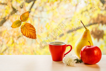 一杯咖啡苹果梨花和干叶在窗玻璃上图片