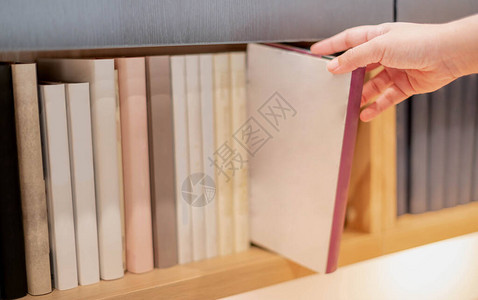 女手在书店的书架上挑选新书用于商业或教育研究的个人信息书或杂志购买图片