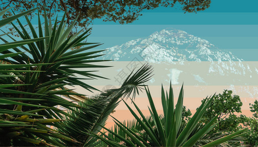 美丽的抽象超真实棕榈树和山地几何景观拼图概念当代颜色和社会背景等精图片