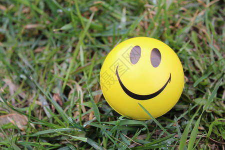 笑脸微笑是绿草中幸福的象征照片笑脸图片