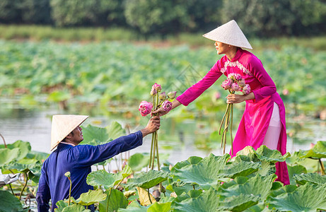 睡莲在手边两个越南人在一艘木船上收集粉红色的莲花女在湖上划船收获粉红莲花汛期湖面图片