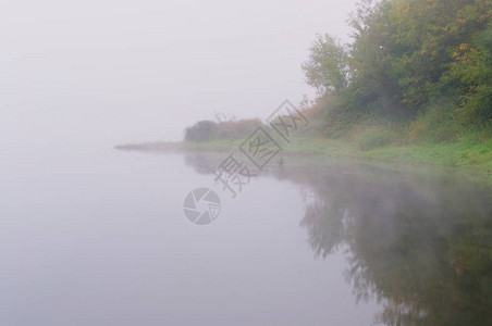 浓雾中长满草丛的池塘岸边图片