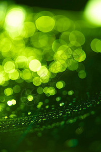 抽象的亮绿色模糊背景图片