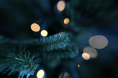 传统人造圣诞树带白光照图片