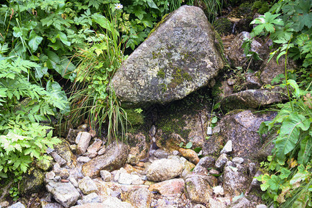 塔特拉山脉的山流河里的石子图片