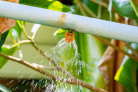 花园洒水灌溉系统图片