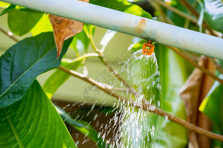 花园洒水灌溉系统图片