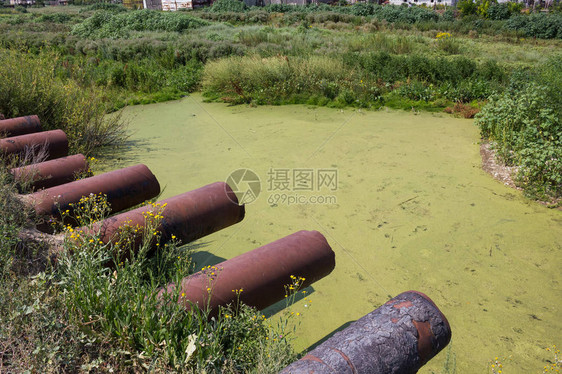 生态灾难脏水环境污染问题排泄管道有毒分解藻图片