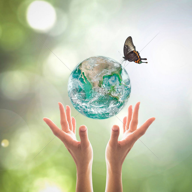世界环境日可持续生态和环保理念与绿色地球行星在志愿者的女手上支持美航空天局提图片