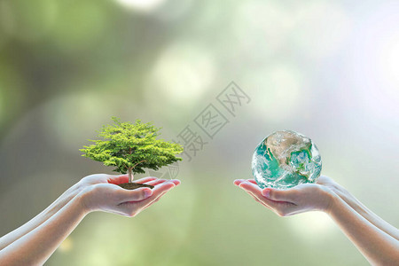 ESG自然阳光背景下图片