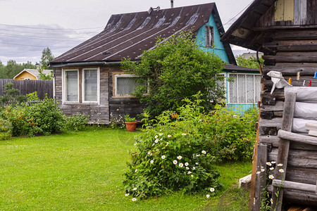 田园生活俄罗斯夏季绿草坪的老村屋背景