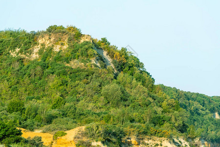 绿树覆盖的山坡图片