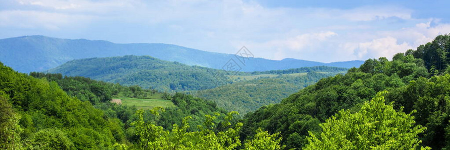 绿色森林和蓝天山脉的全景图片