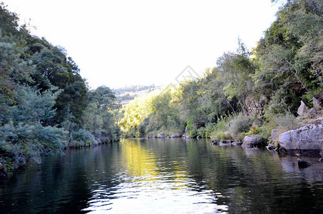 杜罗河周围的绿色河岸图片
