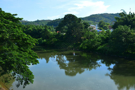 Tamparuli河与红树林在马来西亚沙巴图片