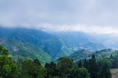 南投清境农场风景背景图片