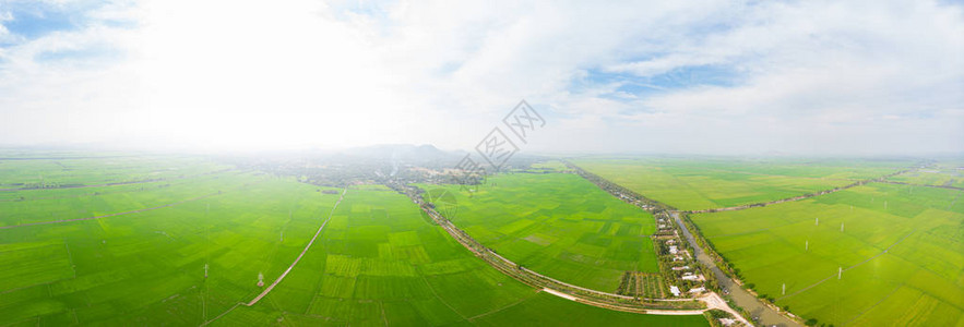 南越湄公河三角洲地区大米田的空中观察图片