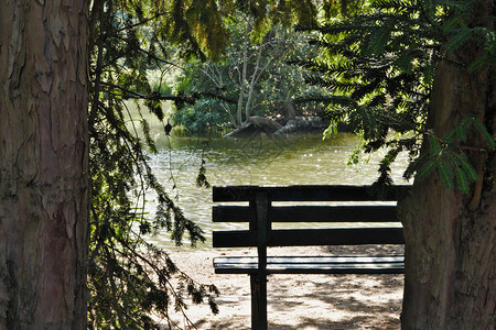 在一席长椅上观景前面的池塘前图片