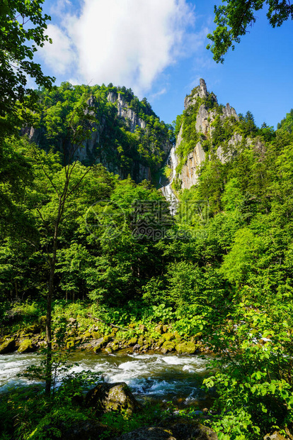 夏季北海道的大瀑布图片