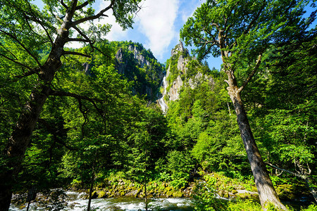 夏季北海道的大瀑布图片