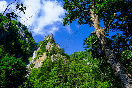 夏季北海道的大瀑布图片