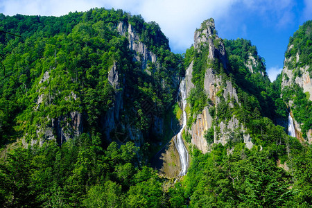 夏季北海道的大瀑布图片
