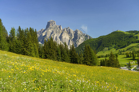 意大利特伦蒂诺上阿迪杰博尔扎诺省多洛米蒂山坎波隆戈山图片