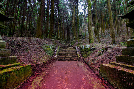 在山中安静地作为动画的神社图片