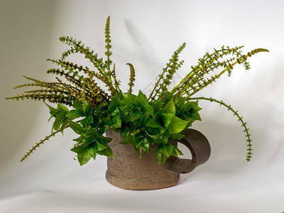 相片用简单的粘土杯和绿色春季植物图片