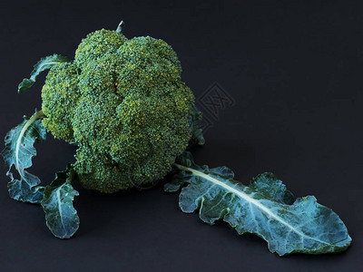 在深色背景上的绿色花椰菜卷心菜黑色背景背景图片