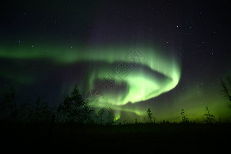 北极光照耀着森林景色在夜晚造图片