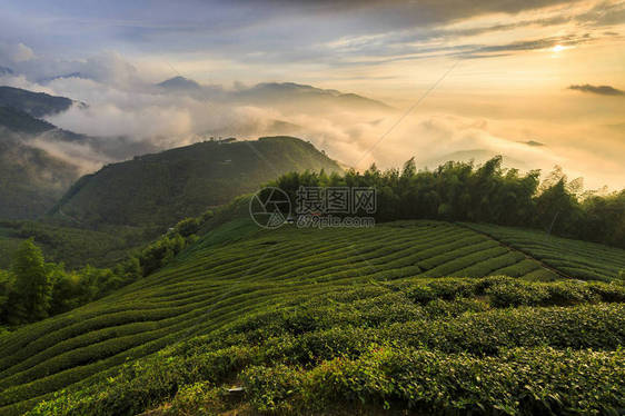 夜间阳光下农田的山地风图片