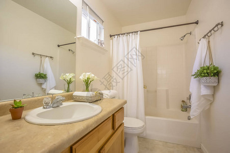 舒适的家庭浴室内部装饰着郁葱的绿色植物和白花房间内可以看到梳妆台马桶图片