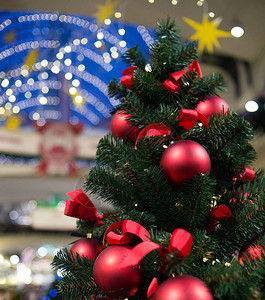 圣诞节新年枞树背景图片