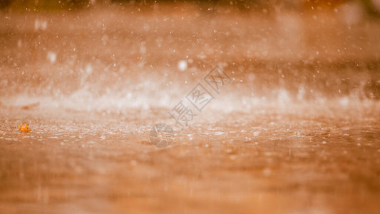 散而为雨抽象的光散景背圆形光斑和漂亮的壁纸插画