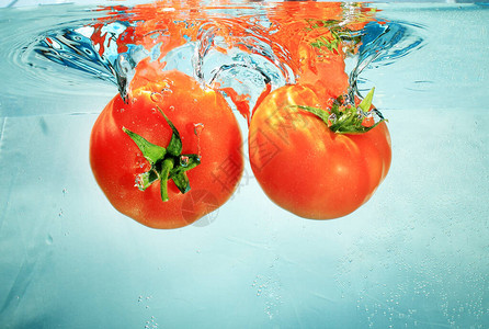漂浮在水中的西红柿图片