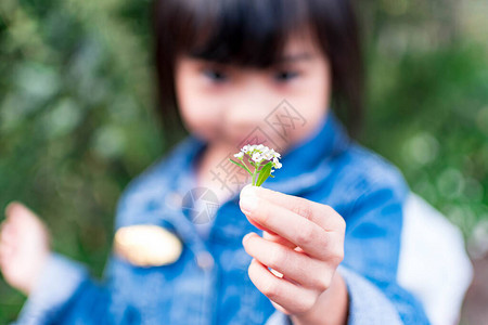 孩子的手拿着一朵小花分享和给予的概念对父母和亲节概念的爱图片