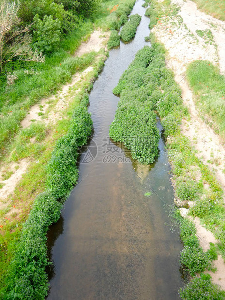 河流入海河岸有植被图片