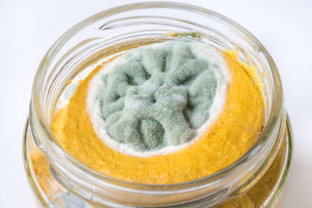 细菌,真菌食物中的霉菌面包中的绿色真菌背景