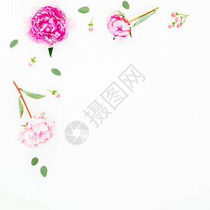 粉红色花朵和白叶的花岗岩组成图片