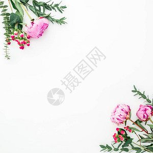 粉红色花朵和白色背景上叶白丽的花香成份平面图片