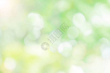 抽象模糊的自然淡出焦点天然绿色布OKh背景图片