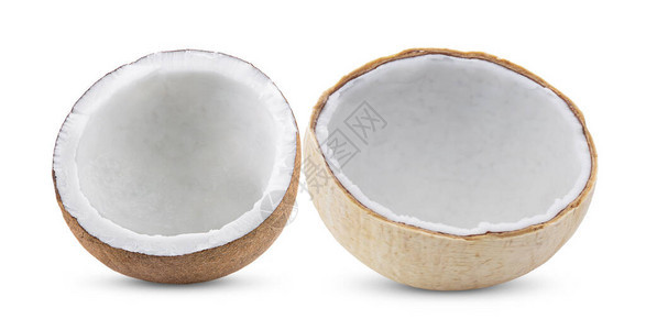 白背景上孤立的年轻椰子坚果图片