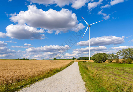 用于电力生产的风车被波兰乡村的农田包围图片