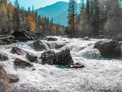 水是冲洗过的山石秋天森林的河流图片