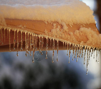 冬天的早晨被雪覆盖的房屋后院图片